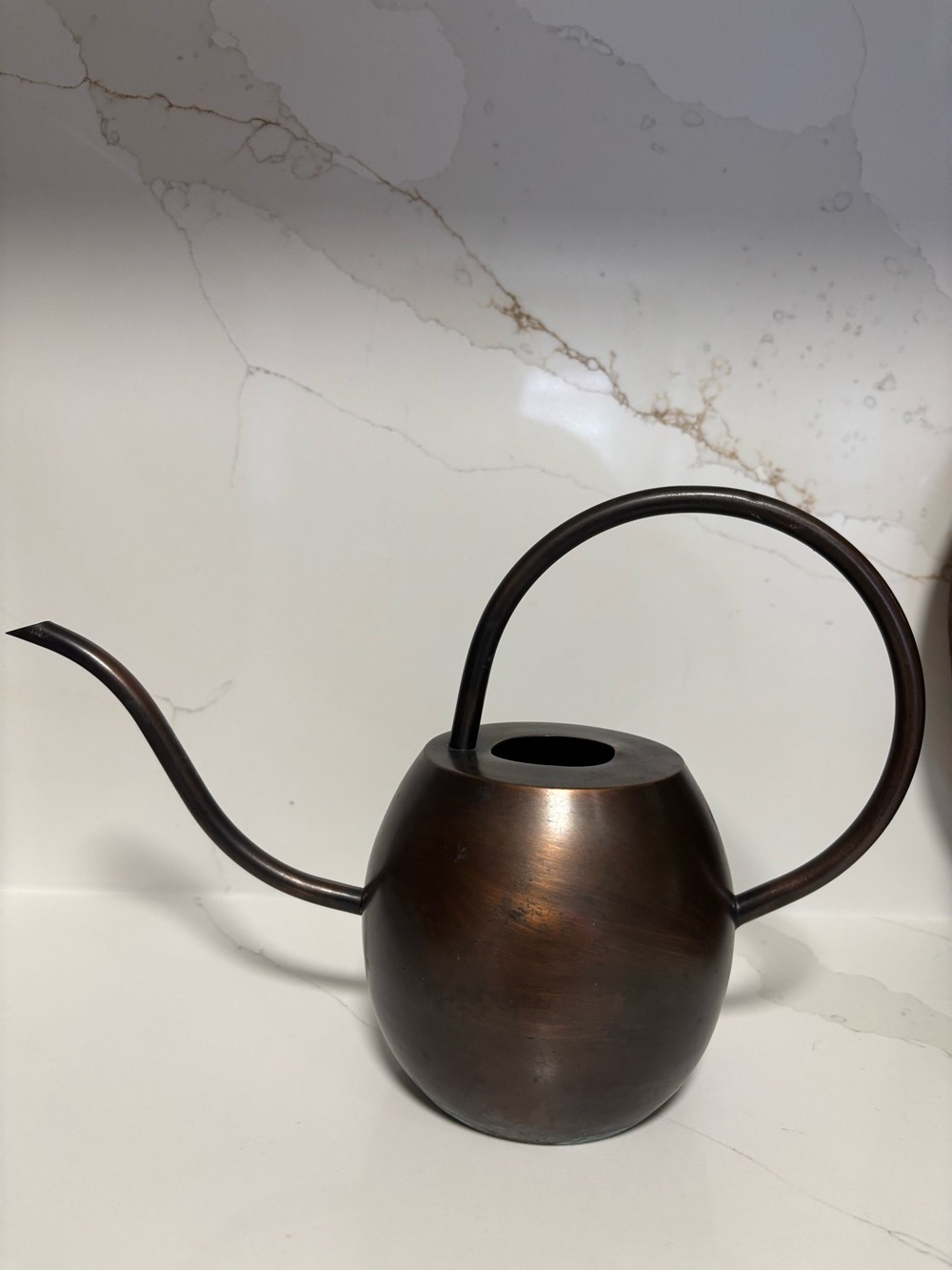 Vintage Copper Watering Can